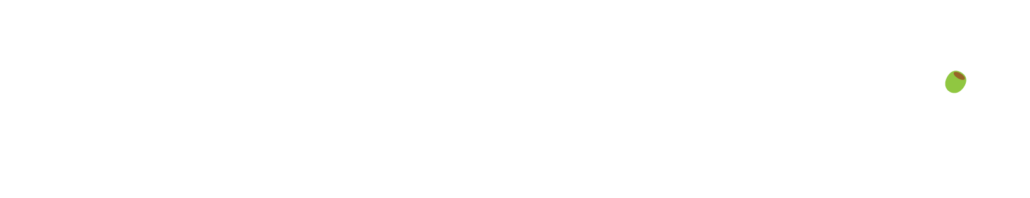 LocalStation-logo-WHT