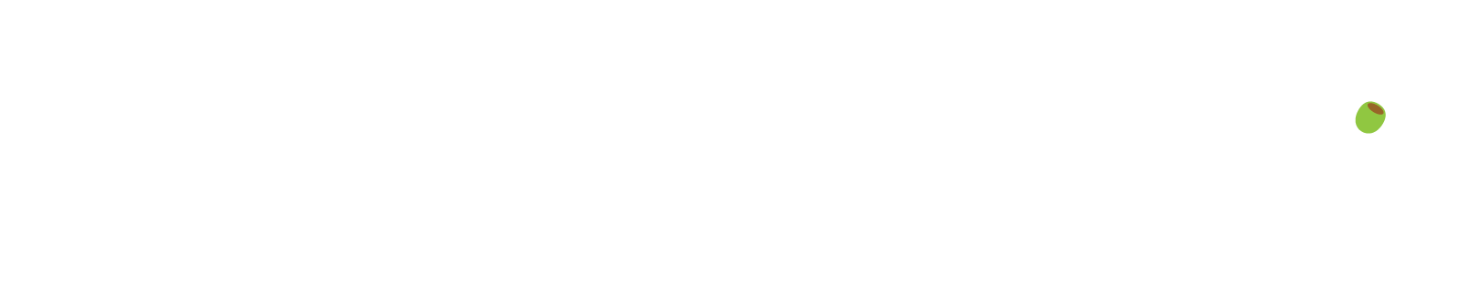 LocalStation-logo-WHT